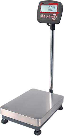 Bascule industrielle 300 kg / 50 g